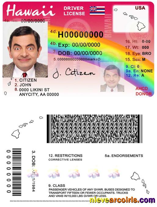 Hawaii driving license